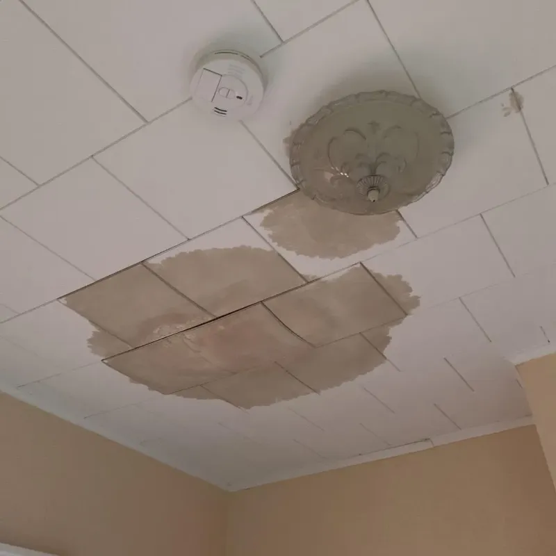 Ceiling Water Damage Repair in Johnson Creek, WI