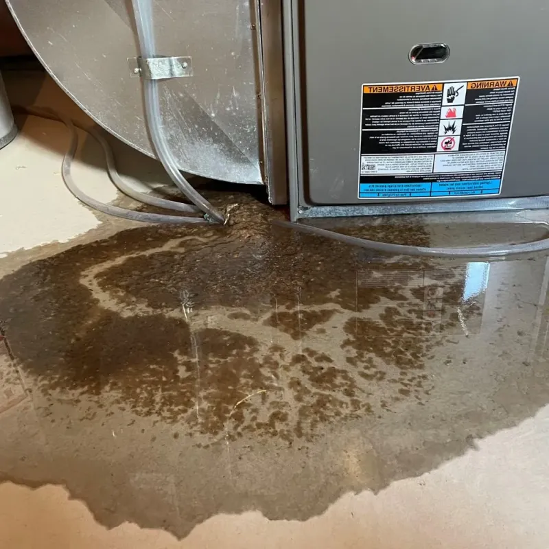 Pipe Burst and Leak Restoration in Johnson Creek, WI